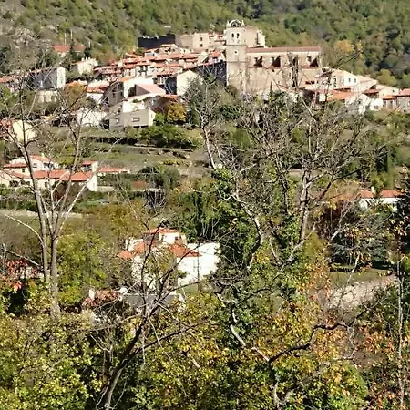 La Carole *